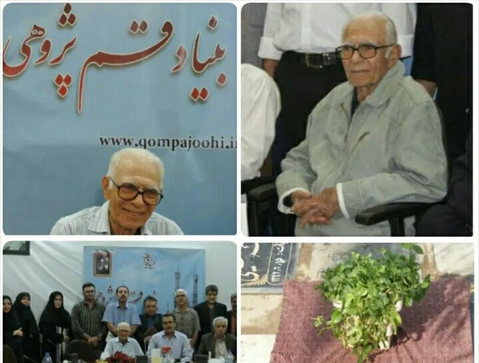 استاد سیدحمید سیف زاده